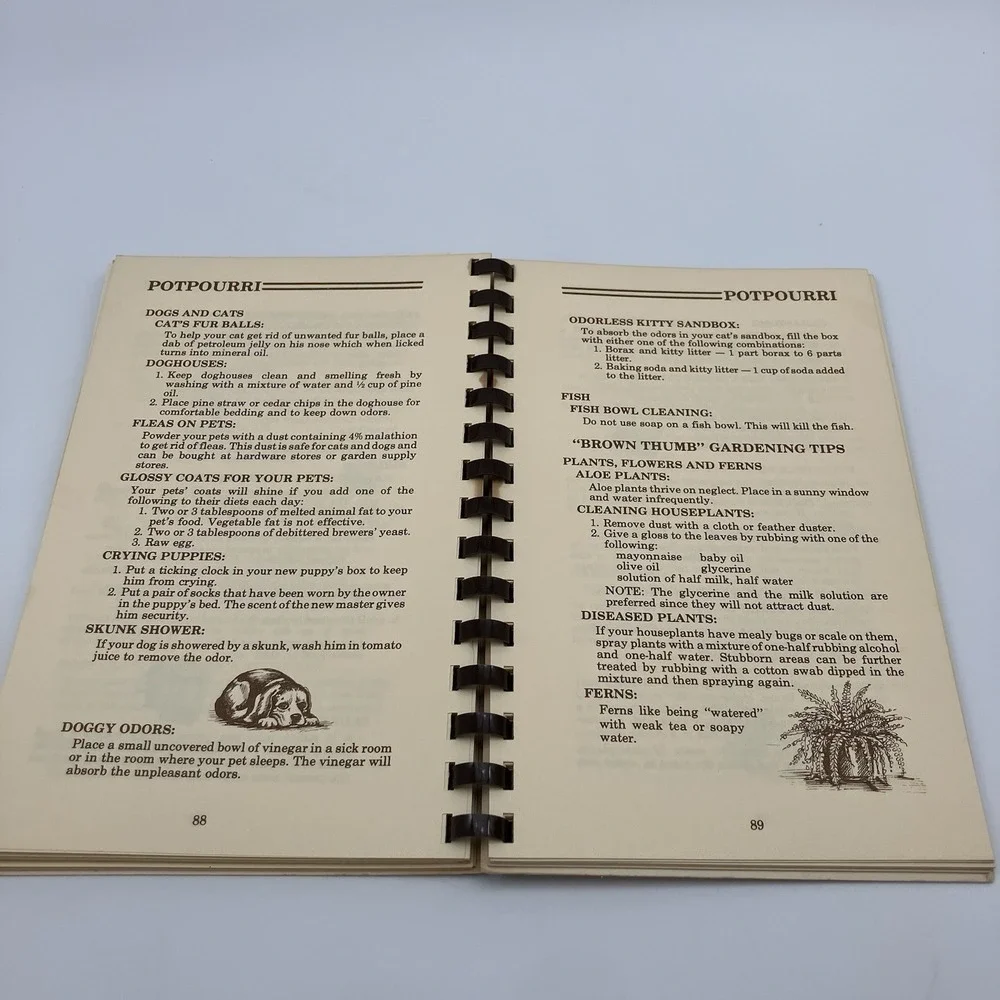 Vtg Hints for Upstairs Downstairs and All Around The House Carol Rees Homemaking
